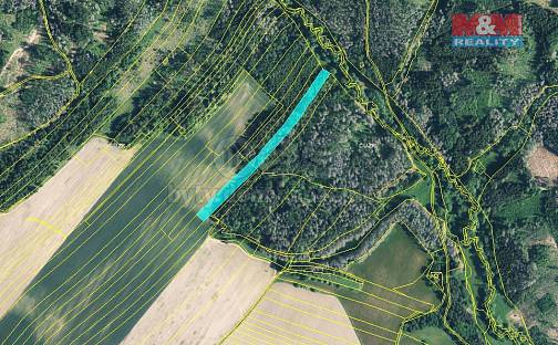 Prodej lesa 1 811 m², Velká Bíteš, okres Žďár nad Sázavou