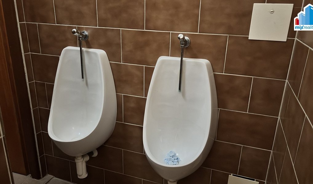 Prodej komerčního objektu (jiného typu) 600 m², Kralovice – náhled fotky 26