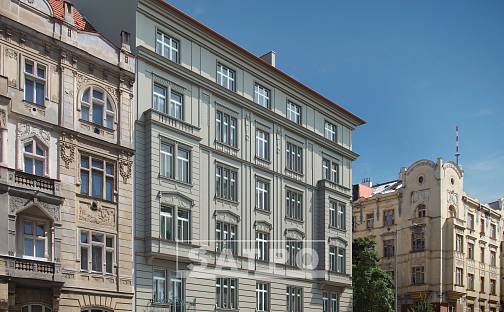 Prodej bytu 3+kk 97 m², Polská, Praha 2 - Vinohrady