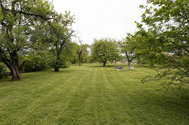 Prodej pole 4 525 m² – fotografie 3