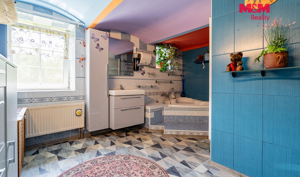 Prodej domu 829 m² s pozemkem 22 298 m², Nová Ves nad Lužnicí – náhled fotky 5