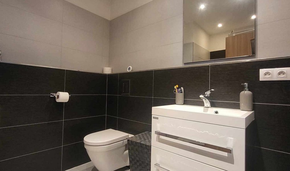 Pronájem bytu 2+kk 49 m², České Budějovice – náhled fotky 7
