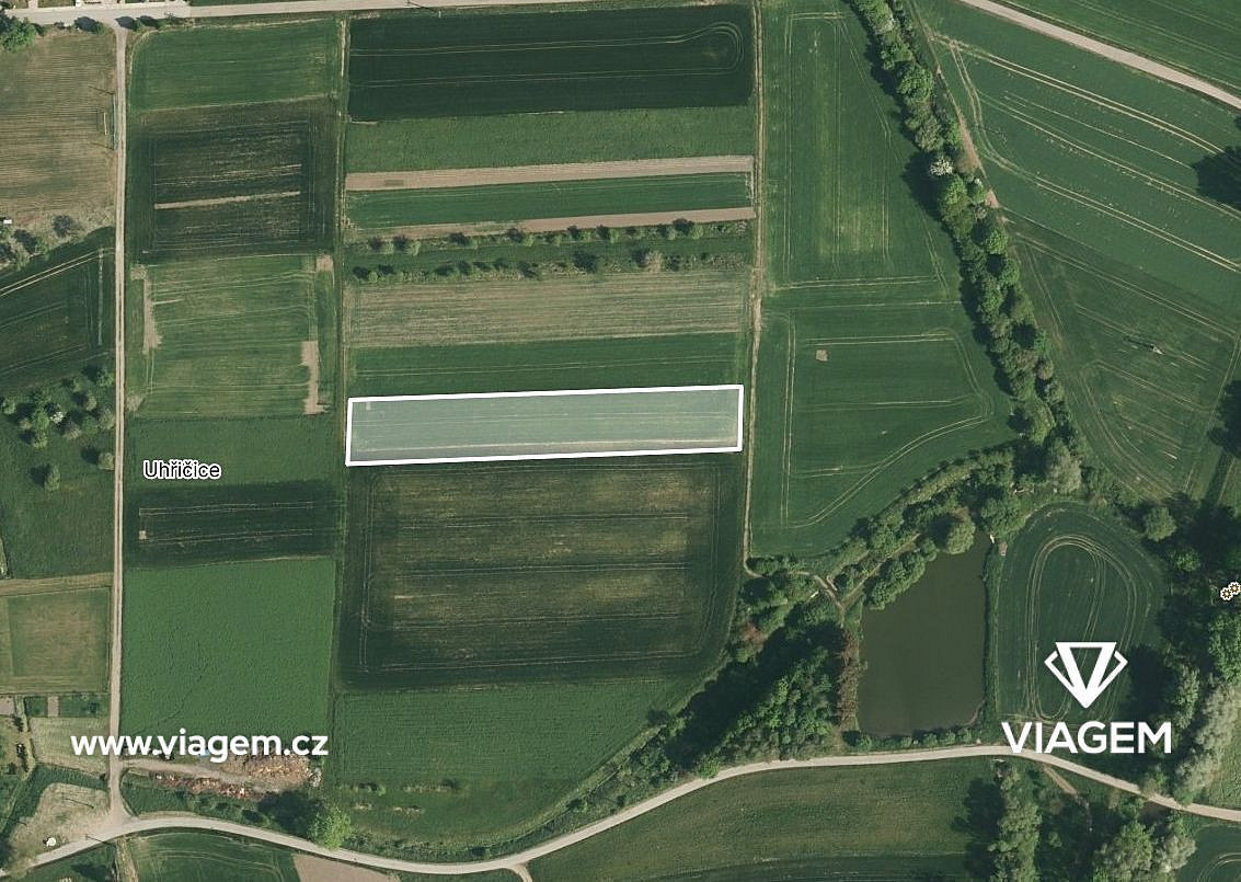 Prodej pole 988 m²