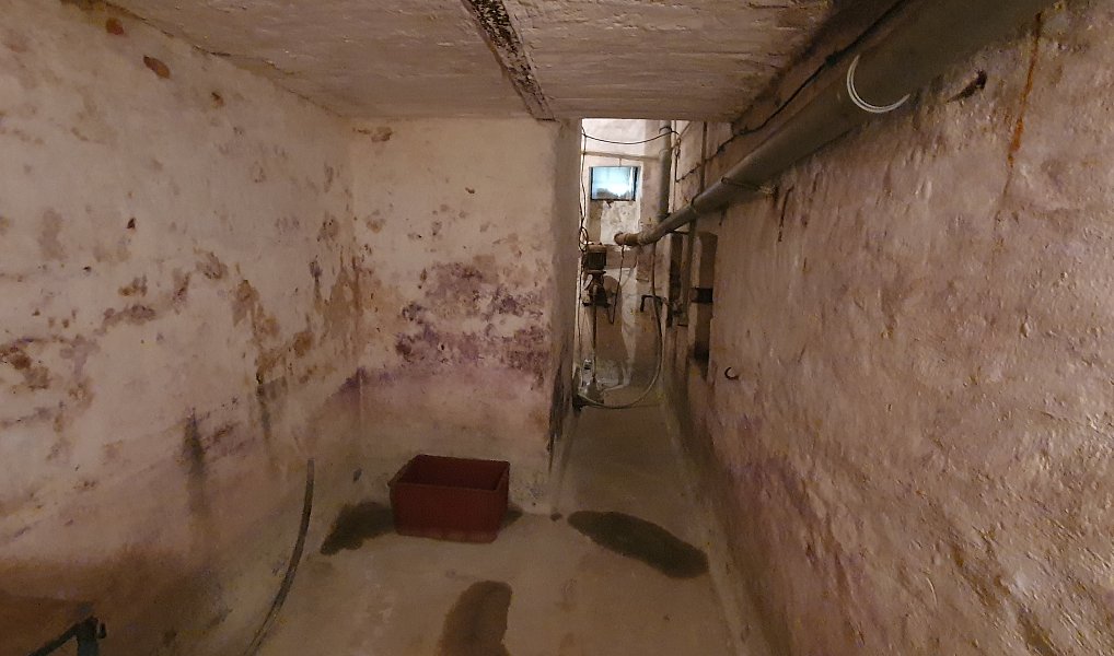 Prodej domu 220 m² s pozemkem 487 m², Kocbeře – náhled fotky 30