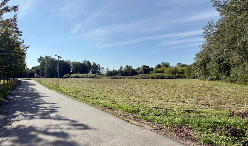 Prodej louky 16 548 m², Poděbrady – náhled fotky 2