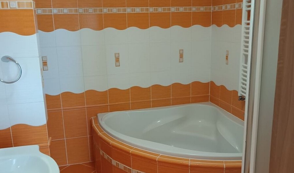 Prodej bytu 3+kk 85 m², Výprachtice – náhled fotky 7