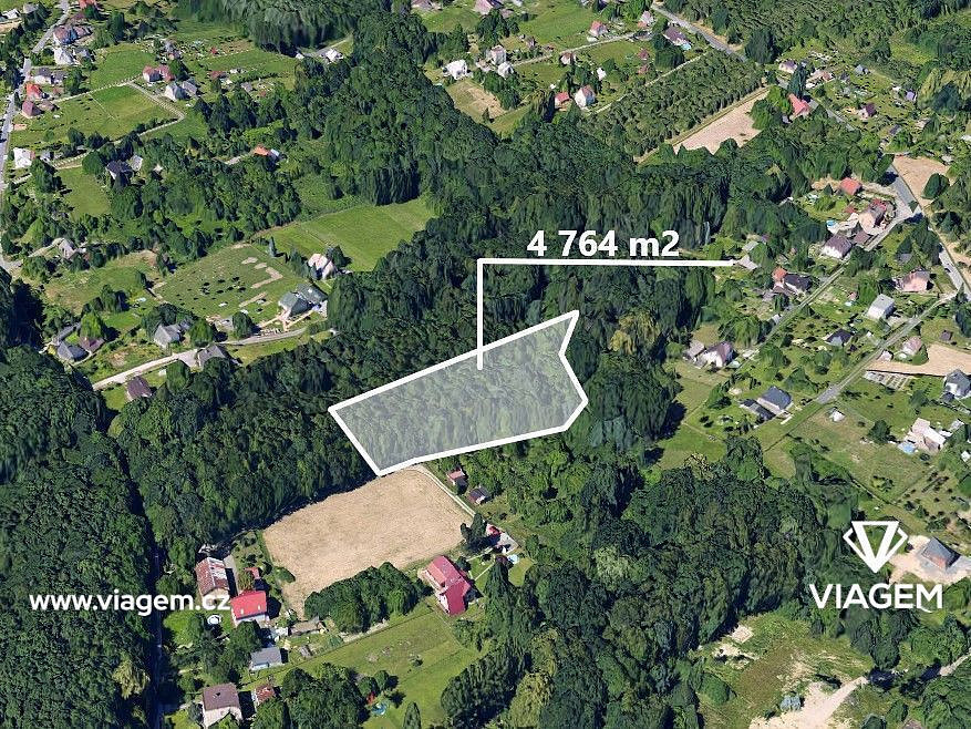 Prodej lesa 4 764 m² – fotografie 4