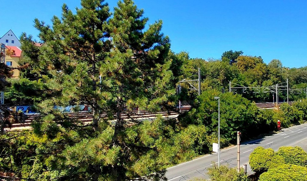 Pronájem kanceláře 65 m², Praha – náhled fotky 17