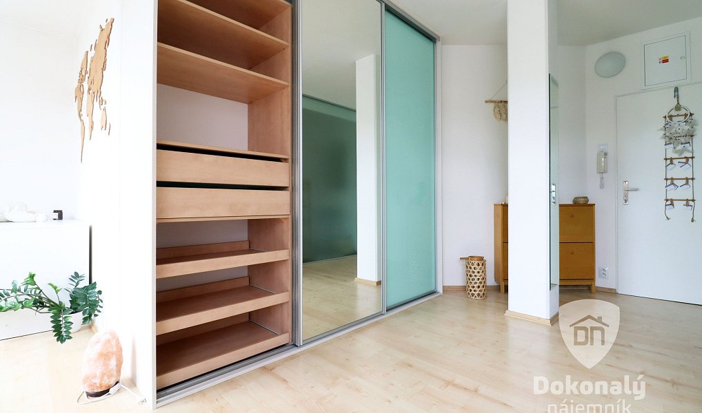 Pronájem bytu 1+kk 45 m², Praha – náhled fotky 8