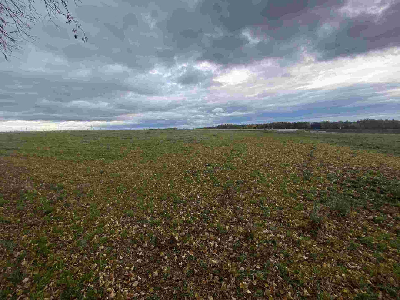 Prodej komerčního pozemku 4 604 m² – fotografie 5