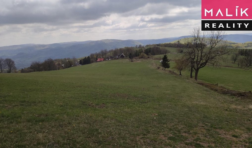 Prodej louky 69 991 m², Stráž nad Ohří – náhled fotky 4