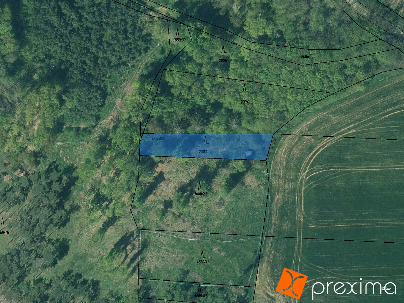Prodej lesa 296 m²