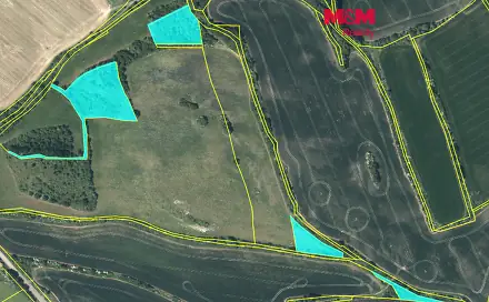 Prodej louky 18 653 m², Mašťov, okres Chomutov