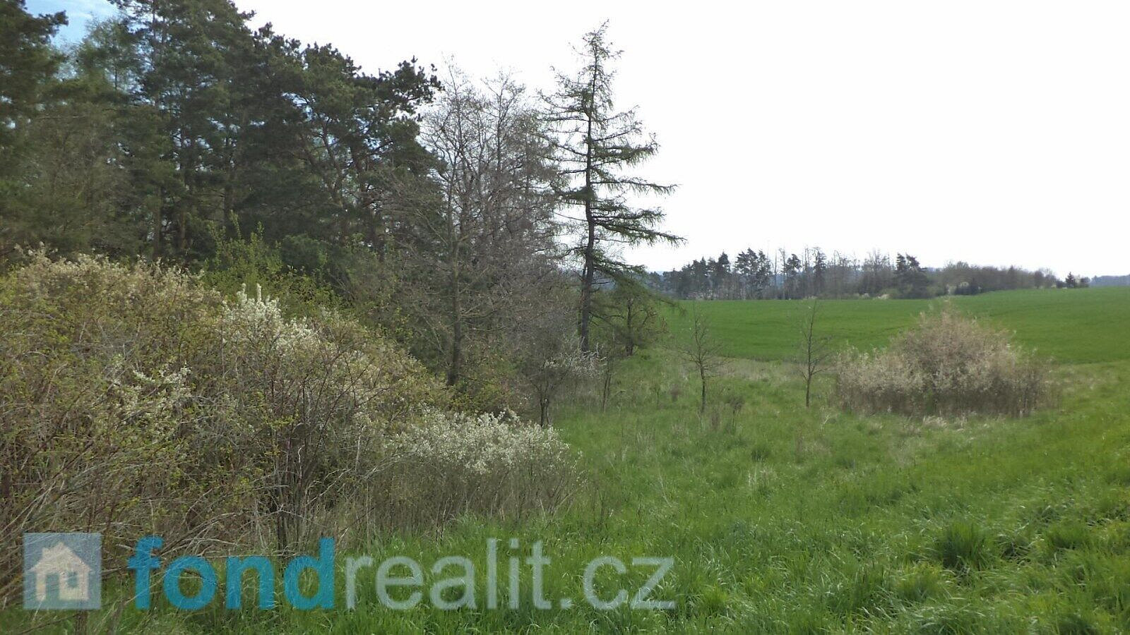 Prodej pozemku 1 277 m² – pohled 4