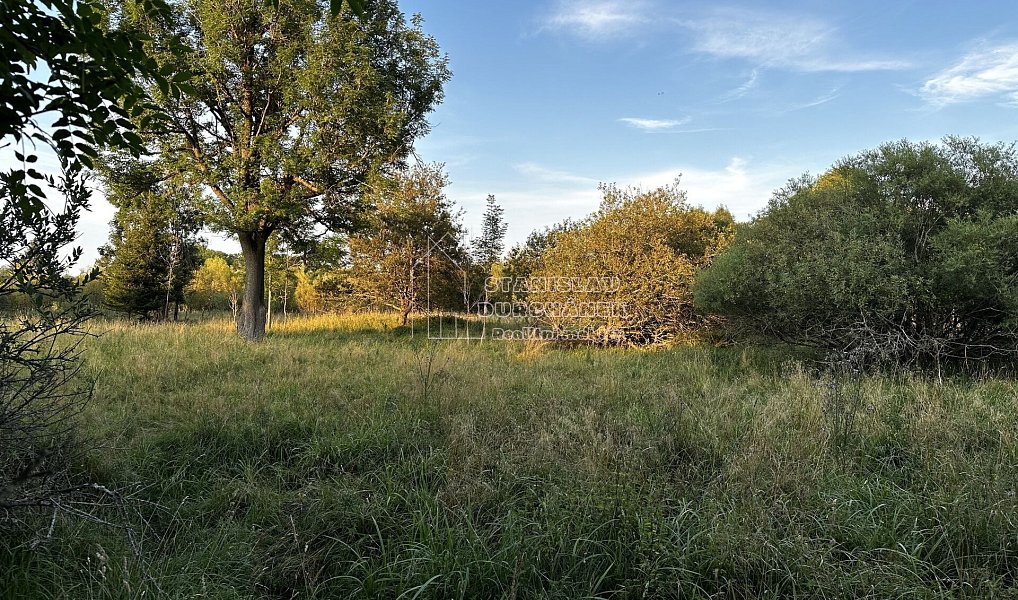 Prodej pozemku, 1713 m², Sokolov, Nová Ves
