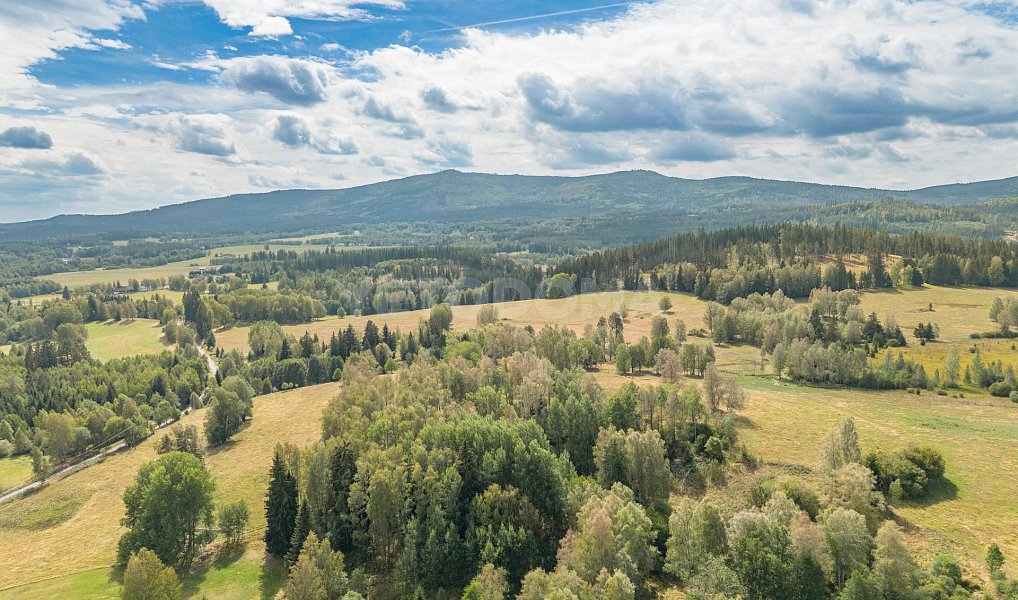 Prodej stavebního pozemku 2 451 m², Nová Pec – náhled fotky 20