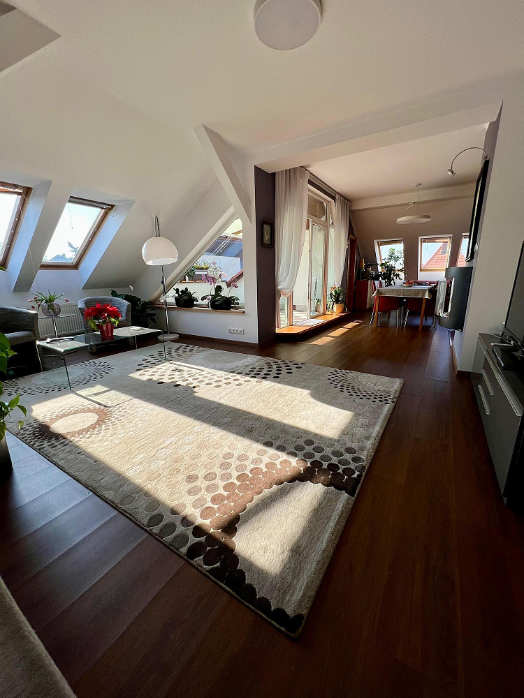 Pronájem bytu 4+kk 198 m² – pohled 4