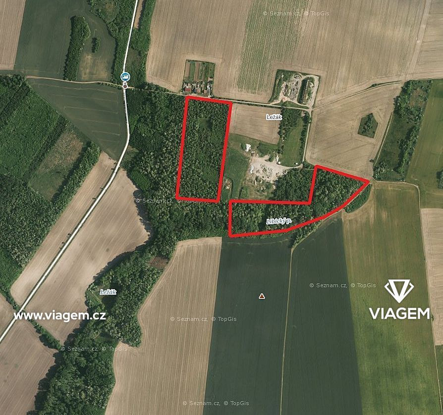Prodej lesa 7 364 m²