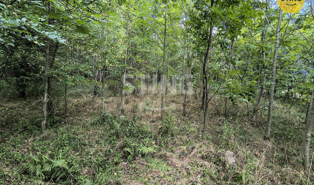 Prodej stavebního pozemku 2 800 m², Třinec – náhled fotky 12