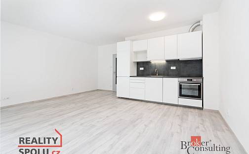 Pronájem bytu 1+kk 37 m², Heyrovského, Plzeň - Doudlevce