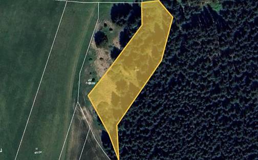 Prodej louky 4 409 m², Líšná, okres Žďár nad Sázavou