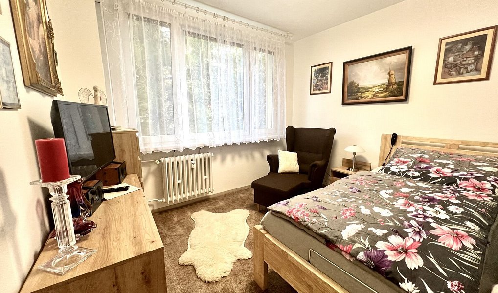 Prodej bytu 3+1 58 m², Praha – náhled fotky 8