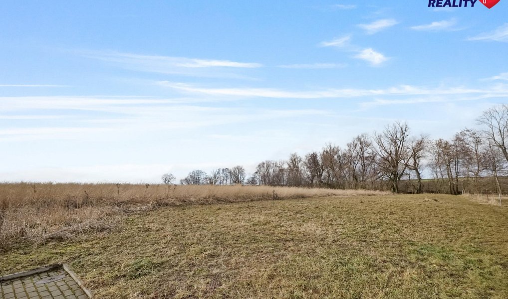 Prodej stavebního pozemku 6 690 m², Oldřišov – náhled fotky 2