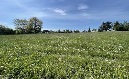 Prodej louky 3 932 m², Nalžovice - Nalžovické Podhájí, okres Příbram