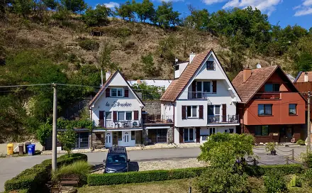 Prodej ubytovacího objektu 300 m², Sklepní, Strachotín, okres Břeclav