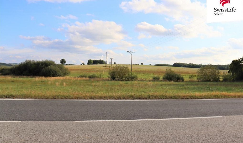 Prodej stavebního pozemku 3 211 m², Všemyslice – náhled fotky 2