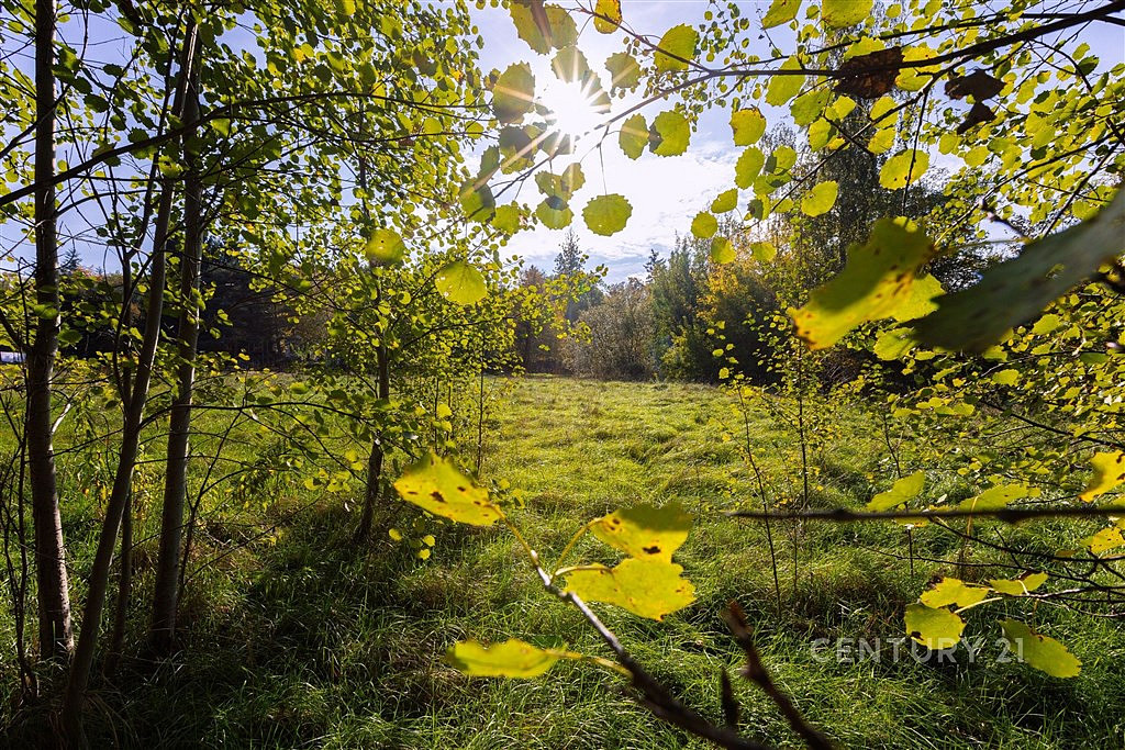 Prodej stavebního pozemku 2 511 m² – pohled 5
