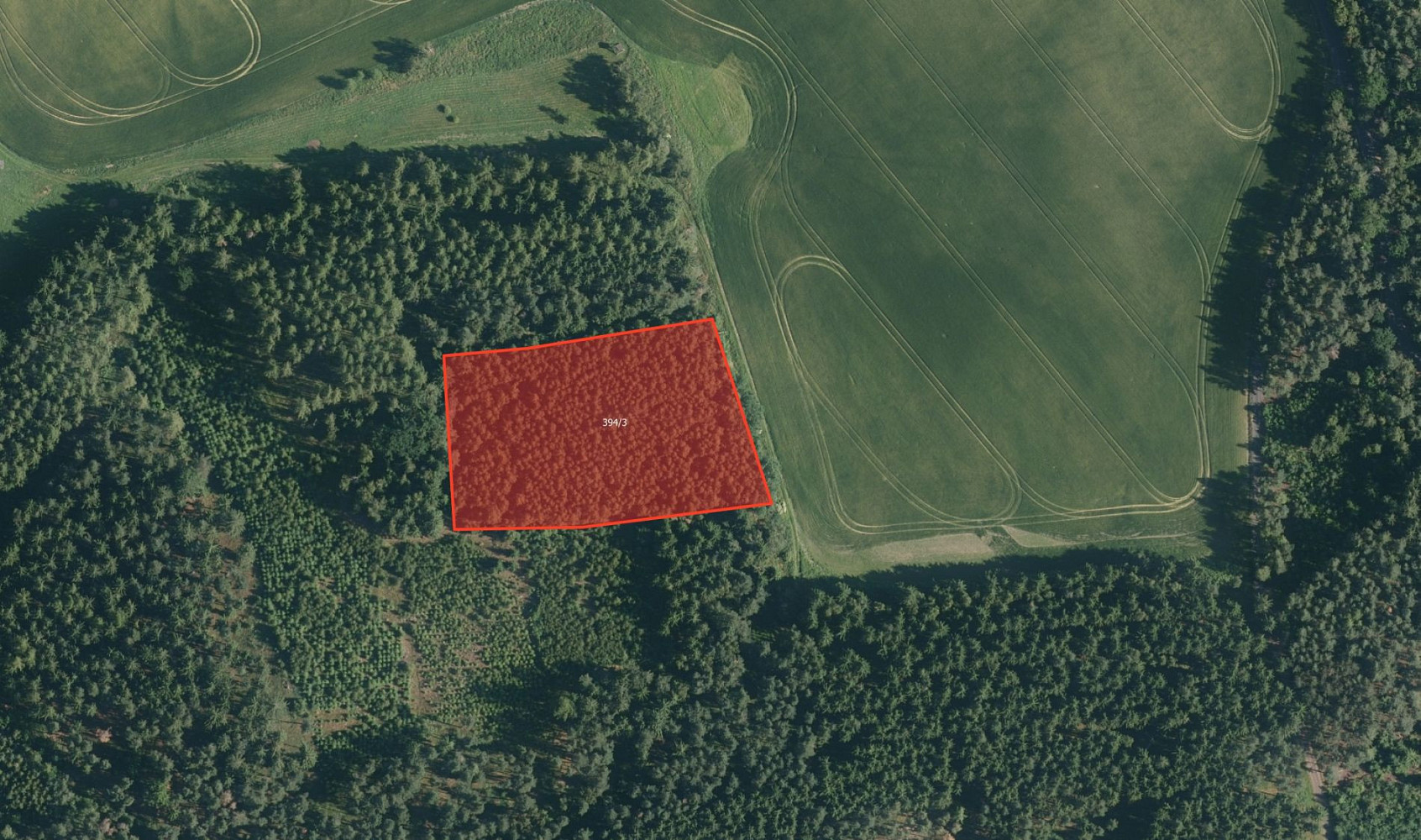 Prodej lesa 7 352 m²