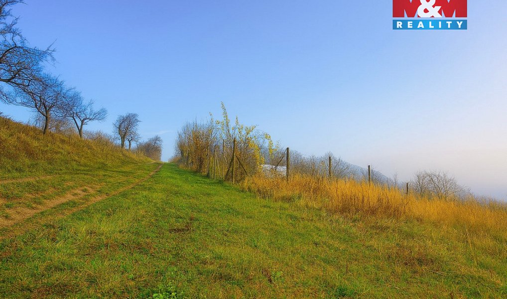 Prodej pole 1 791 m², Bukovany – náhled fotky 4