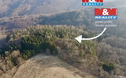 Prodej lesa 81 768 m², Městečko Trnávka - Stará Roveň, okres Svitavy