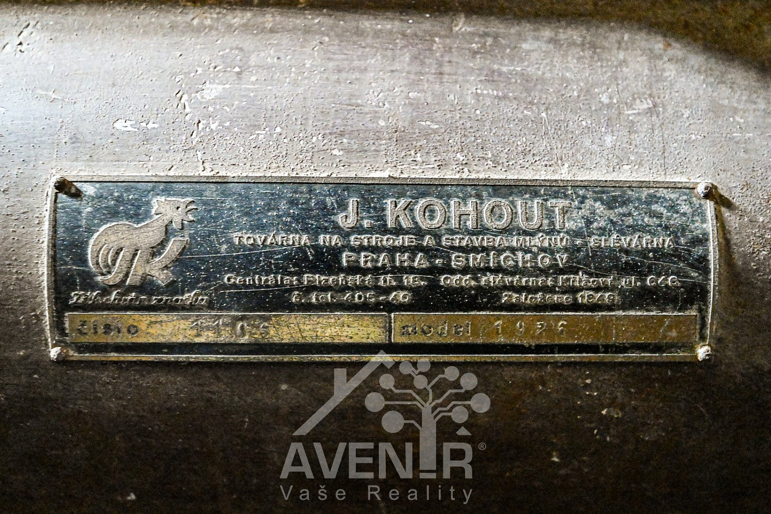 Fotka 24 z 29