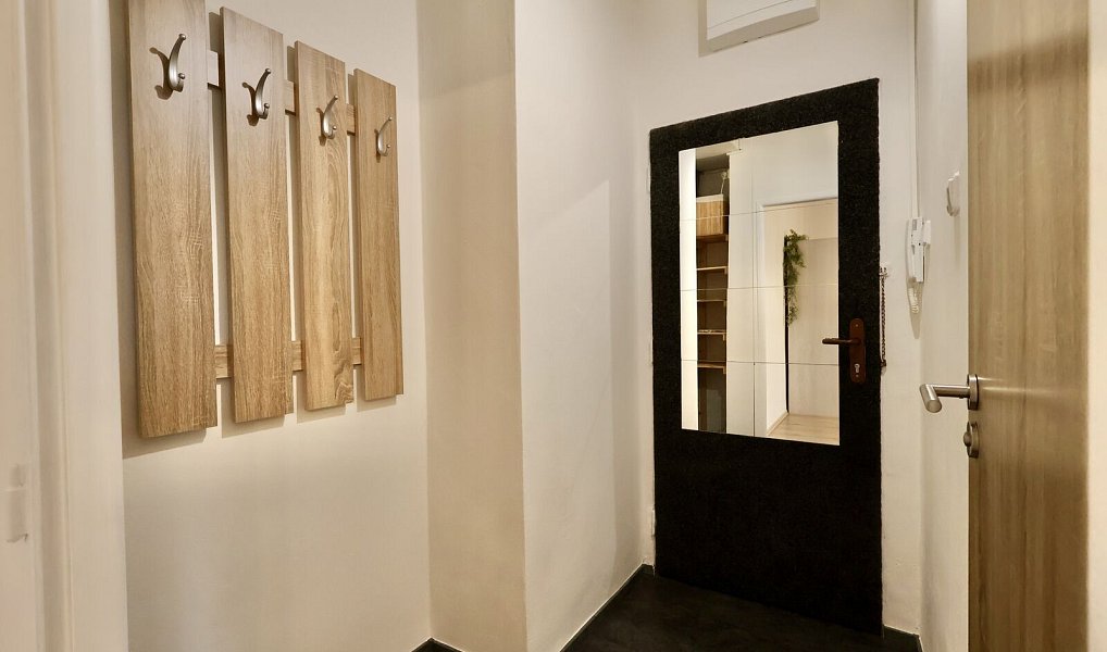 Pronájem bytu 1+kk 25 m², Ostrava – náhled fotky 3