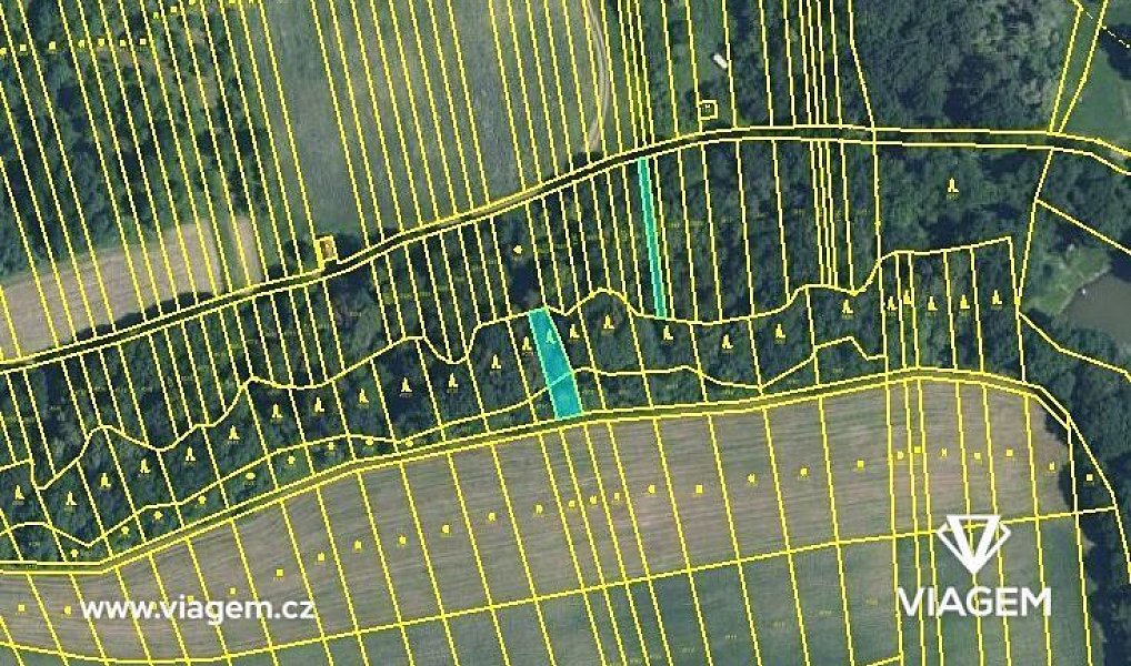 Prodej lesa 525 m², Hradčovice – náhled fotky 4