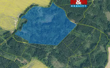 Prodej lesa 154 293 m², Milevsko - Klisín, okres Písek