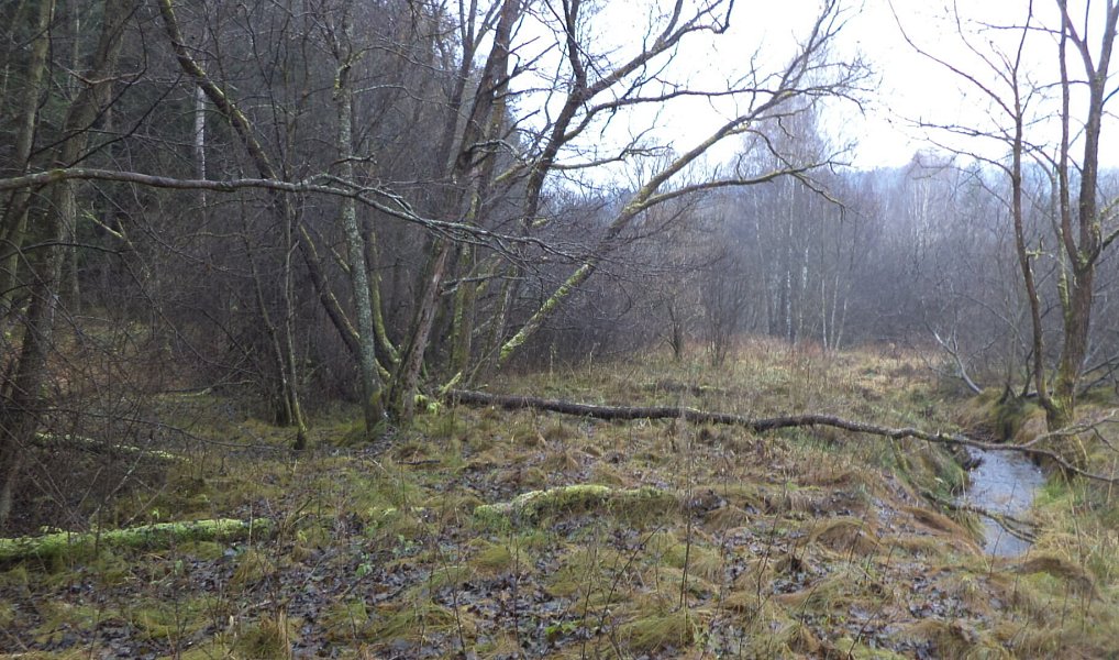 Prodej pozemku 919 m², Vyšší Brod – náhled fotky 7
