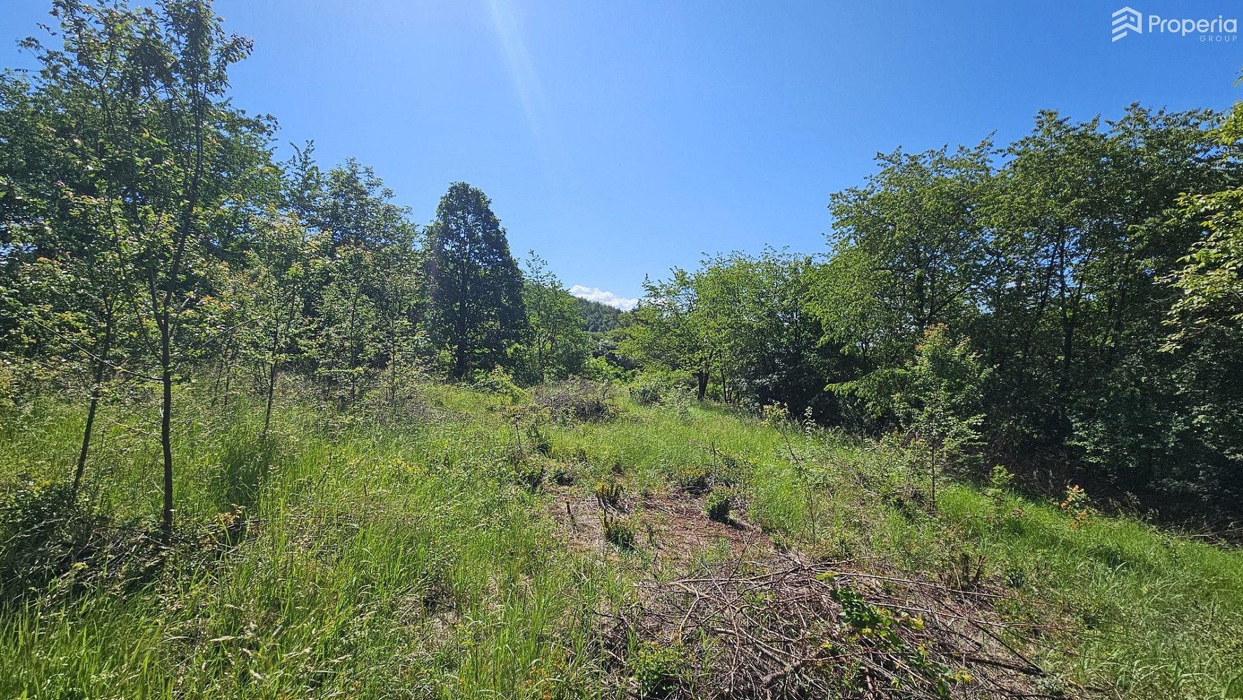 Prodej stavebního pozemku 1 845 m² – fotografie 2