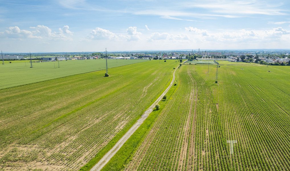 Prodej komerčního pozemku 147 116 m², Olomouc – náhled fotky 5