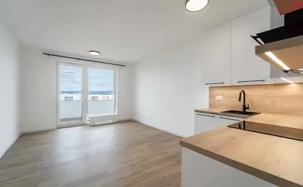 Pronájem bytu 1+kk 29 m², Aloise Rašína, Olomouc - Řepčín
