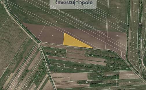 Prodej pole 2 007 m², Starovičky, okres Břeclav