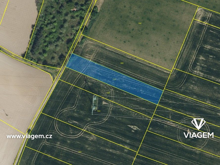 Prodej pole 2 392 m² – fotografie 3