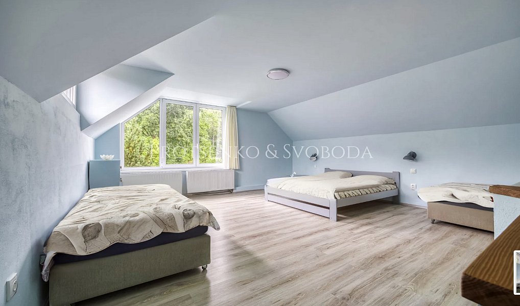 Prodej domu 354 m² s pozemkem 2 604 m², Pavlov – náhled fotky 46