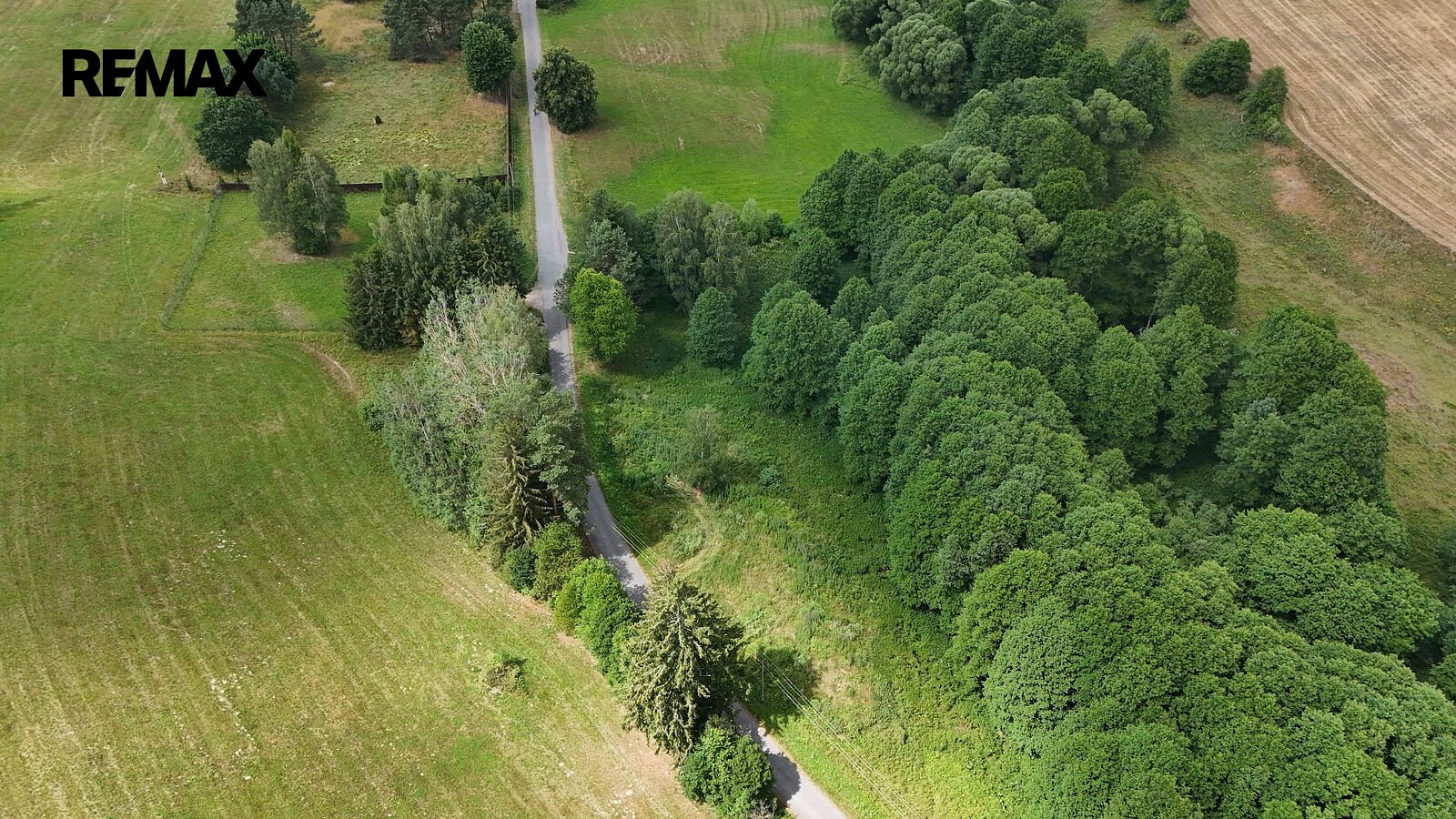 Prodej louky 6 111 m² – fotografie 5