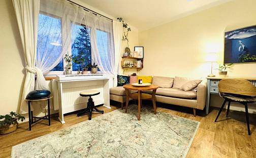 Pronájem bytu 2+1 56 m², Palackého, Hluboká nad Vltavou, okres České Budějovice