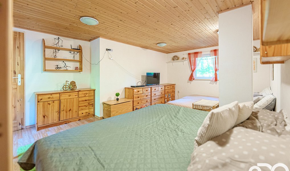 Prodej chaty/chalupy 30 m² s pozemkem 30 m², Ráby – náhled fotky 19