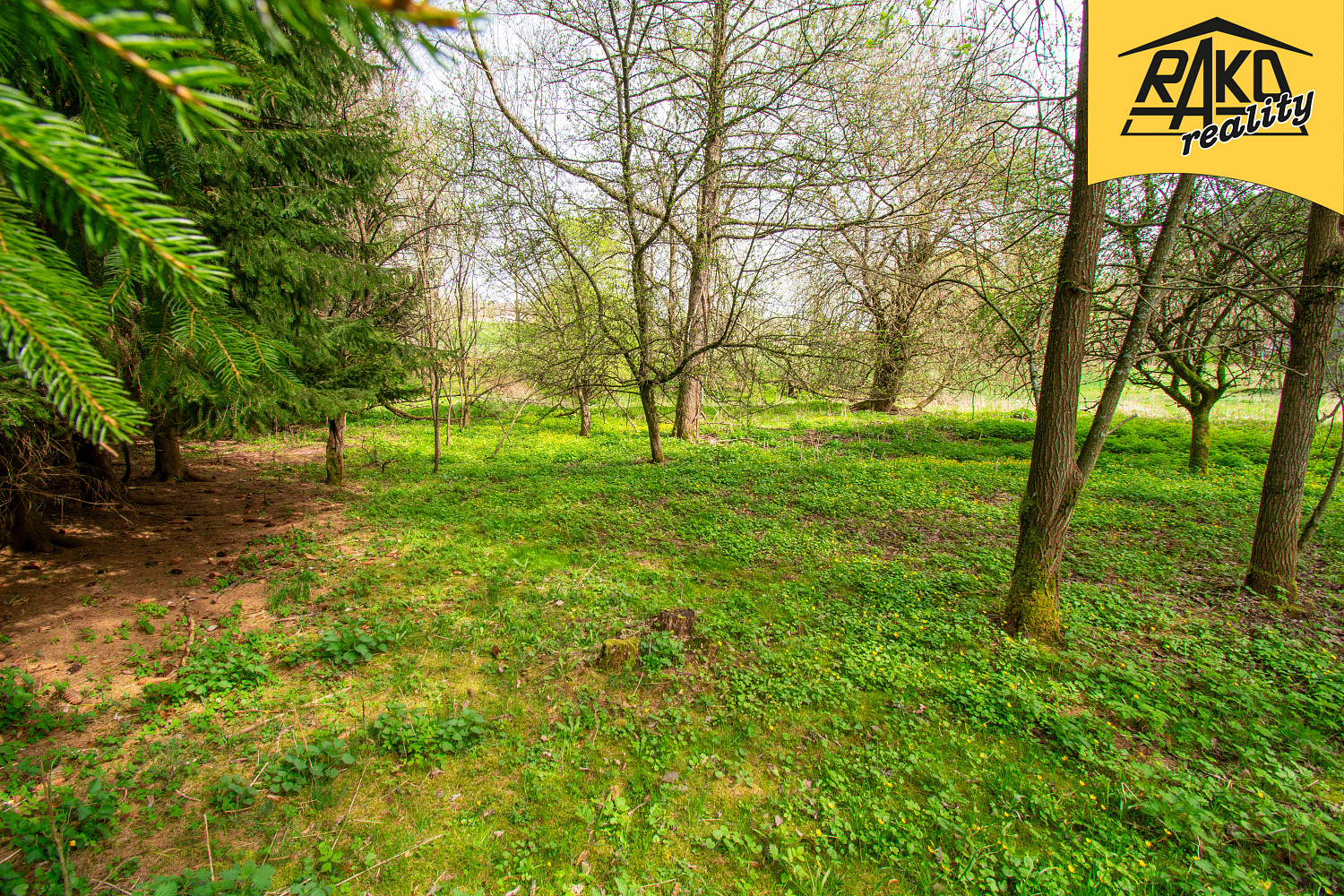 Prodej stavebního pozemku 4 486 m² – fotografie 4