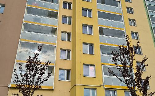 Dražba bytu 3+1 60 m², Osová, Brno - Starý Lískovec